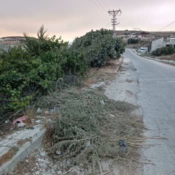 Altınözü Belediyesi'nin İlgisizliği Ve Sürekli Elektrik Kesintileri