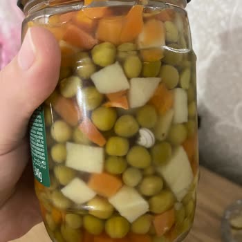 Tukaş Garnitürün İçinde Salyangoz