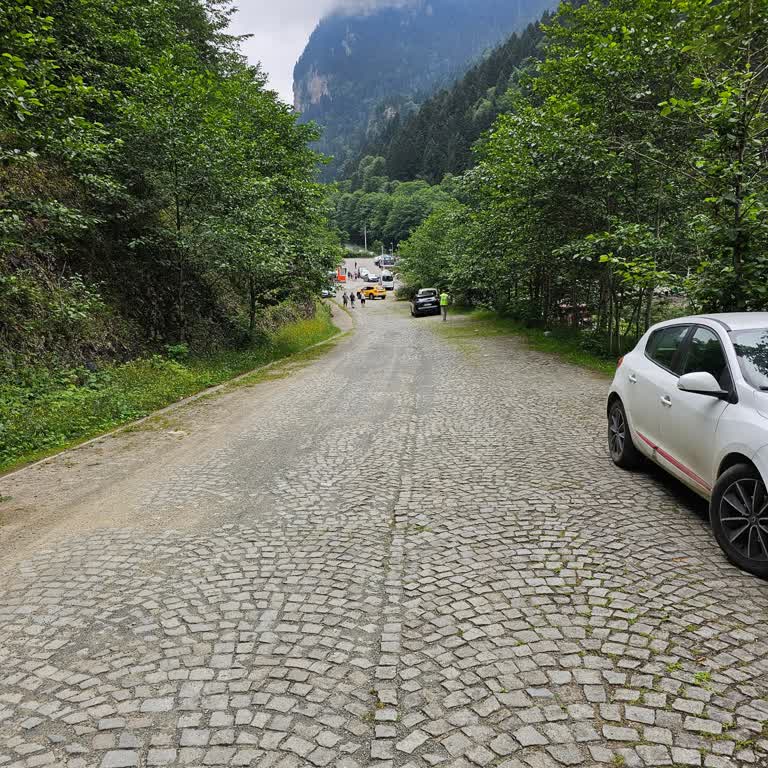 Trabzon Büyükşehir Belediyesi Otopark Sümela Sorunu