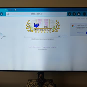 Samsung 50AU9000 TV LED Panel Problemi