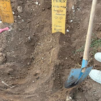 Maça Veteriner Kliniği Maça Veteriner Haksız Kazanç Ve Yanlış Tedavi Yüzünden Kedimi Öldürdü!