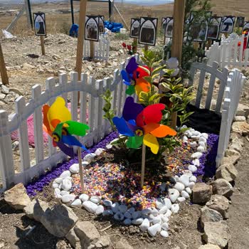 Maça Veteriner Kliniği Maça Veteriner Haksız Kazanç Ve Yanlış Tedavi Yüzünden Kedimi Öldürdü!