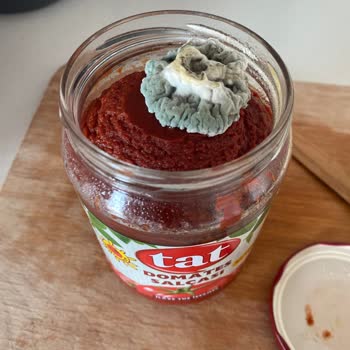 Tat Gıda Küflü Tat Marka Salça