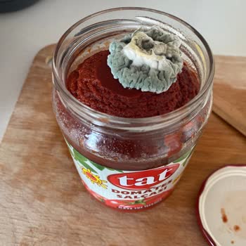 Tat Gıda Küflü Tat Marka Salça