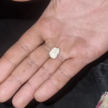 Tadım Beyaz Leblebi'den Taş Çıktı