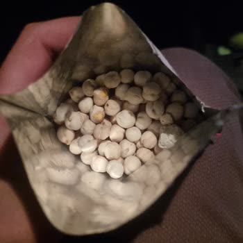 Tadım Beyaz Leblebi'den Taş Çıktı