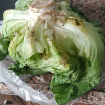 47752485221 Migros Hemen Sipariş Sıkıntısı