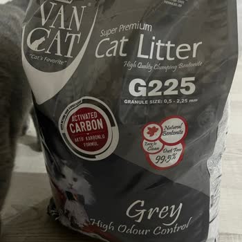 VanCat Market VanCat Kedi Kumu Toz Ve Koku Şikayeti