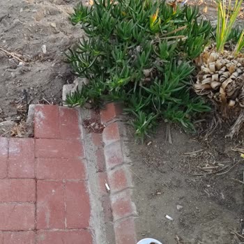 Karya Family Resort Müşteri Memnuniyetsizliği