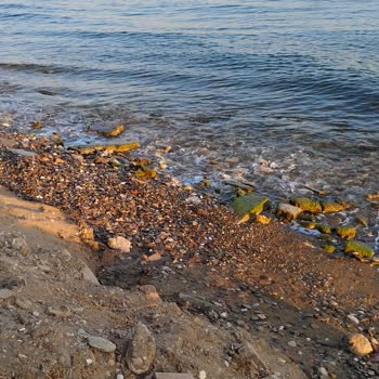 Karya Family Resort Müşteri Memnuniyetsizliği