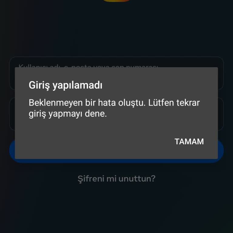 Instagram Giriş Yapılmıyor
