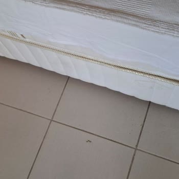 Royal Beach Club Hotel Tatilbudur Royal Beach Club Sitedeki Görselle Alakası Olmayan Otel