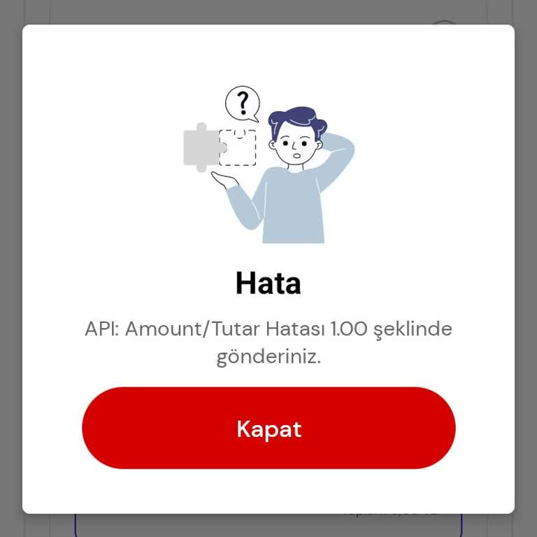 Passolig Vize Uzatma Ekranında Tutar Hatası