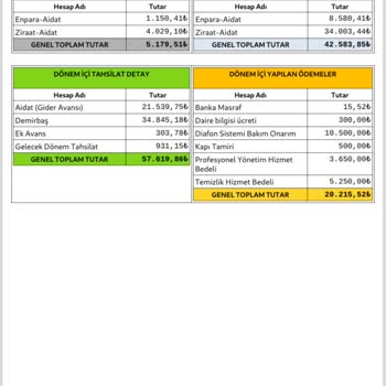 Temizlikyolda.com Mask Temizlik Şirketinin Bilançosu Ve Hizmet Faturaları-tehdit-hakaret