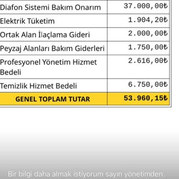 Temizlikyolda.com Mask Temizlik Şirketinin Bilançosu Ve Hizmet Faturaları-tehdit-hakaret
