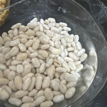 Hasata Kuru Fasülye Kabuklu