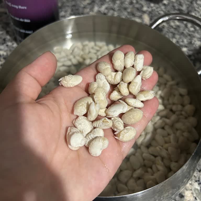 Rençber Bakliyat Dermason Kuru Fasulye