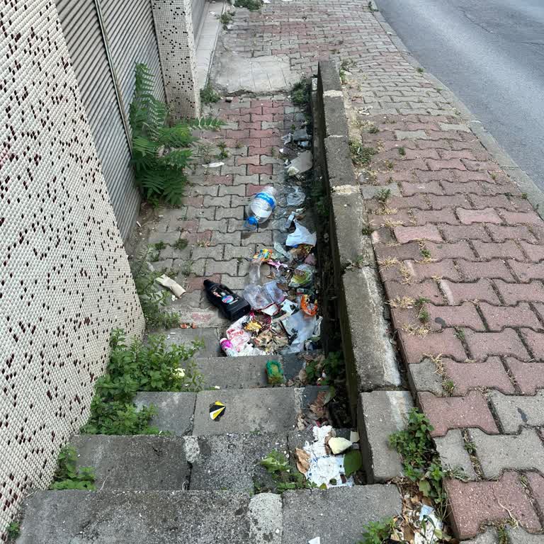 Bayrampaşa Belediyesi Bayrampaşa Temizlik Sorunu