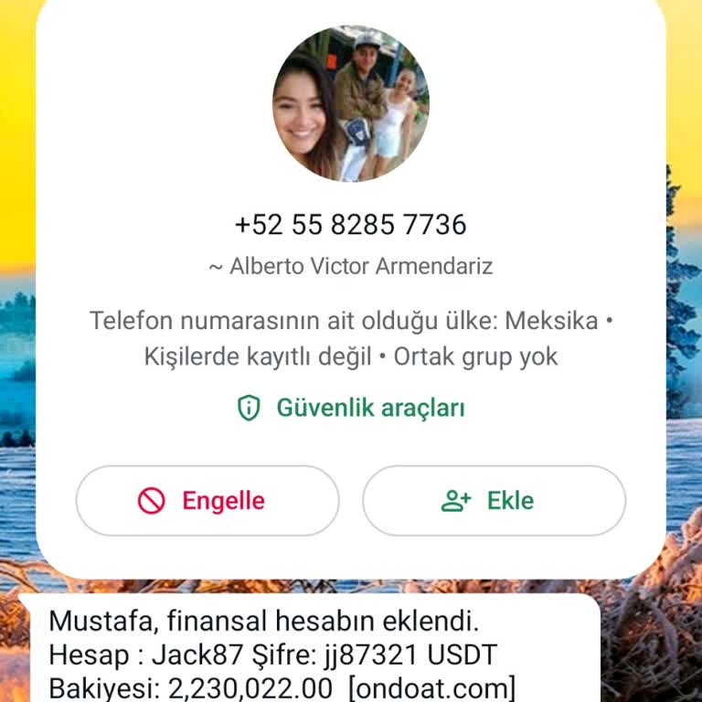 WhatsApp Tan Gelen Mesaj