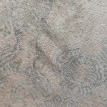 SEG Evim Ber Bat Oldu