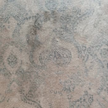 SEG Evim Ber Bat Oldu