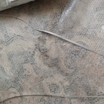 SEG Evim Ber Bat Oldu