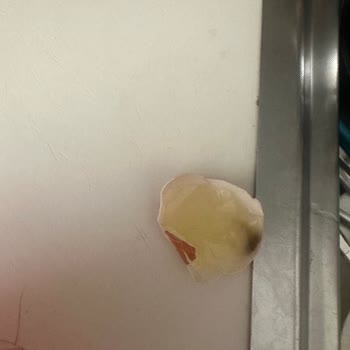 Pak Organik Trendyol GO Show Market'ten Gelen Organik Yumurtalar Bozuk Çıktı!