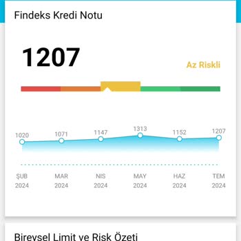 Findeks Kredi Notundaki Düzensizlik