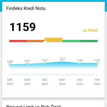 Findeks Kredi Notundaki Düzensizlik
