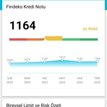 Findeks Kredi Notundaki Düzensizlik