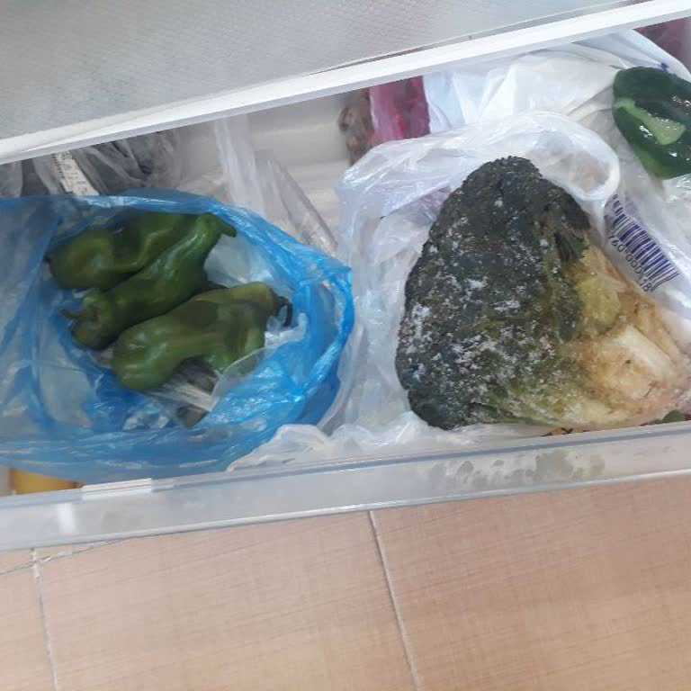 Bosch Marka Buzdolabı Şikayet