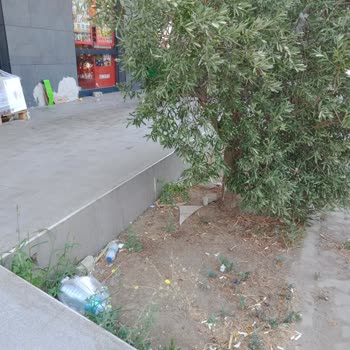 Şok Marketlerde Hijyen Sorunu Ve Personel Yetersizliği