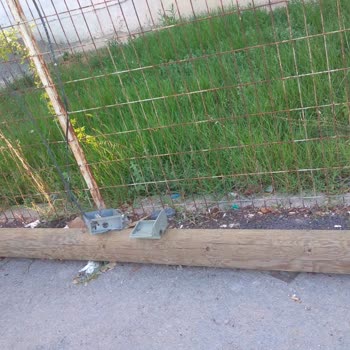 İnternet Arızası (Türk Telekom Şikayeti)
