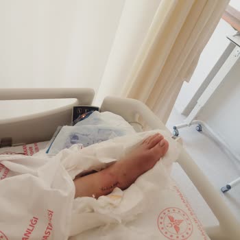 Çilingoz Tabiat Parkı 'da Güvenlik Ve İletişim Sorunları