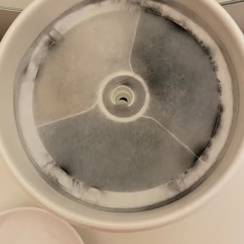 Mi Store Ve N11 Kedimin Sağlığını Tehlikeye Atıyor