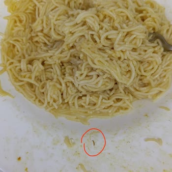 Dudomi Noodle Kurt Çıktı Az Kalsın Yiyordum