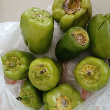 Migros Hemen Küflenmiş Dolma Biber Gönderdi