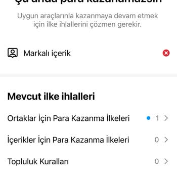 Instagram Mevcudiyet İhlali
