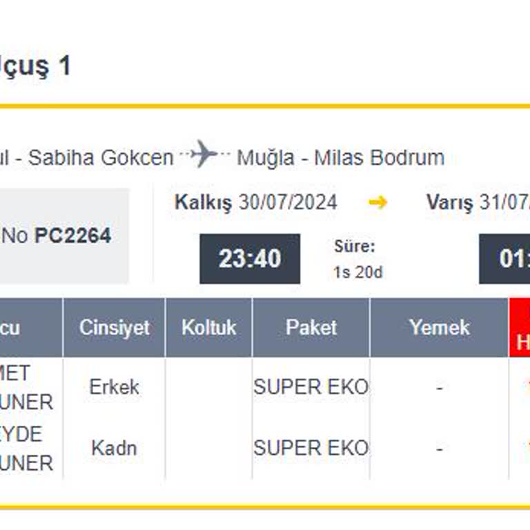 Pegasus PC2264 Uçuş Mağduriyeti