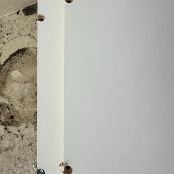 IKEA Bayrampaşa Şubesinde Kitaplık Sorunu