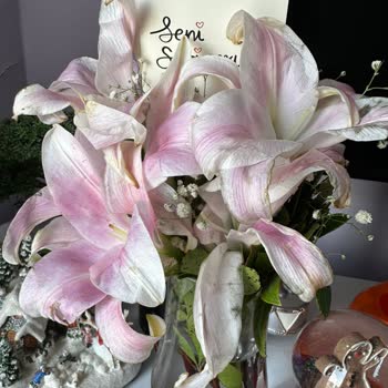 Çiçek Sepeti Solmuş Çiçekler Gönderdi!