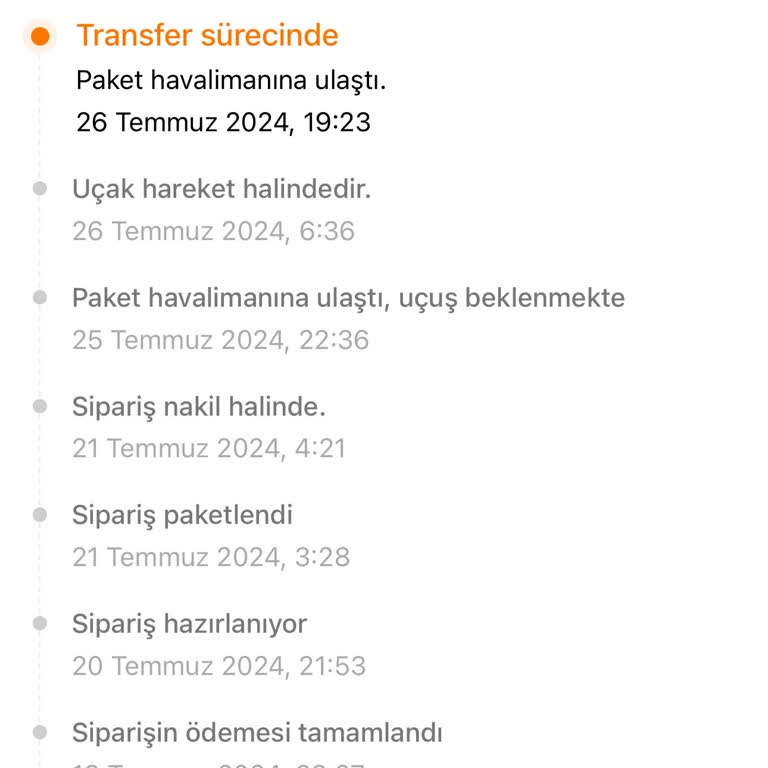 Temu Kargonun Gümrük Problemleri