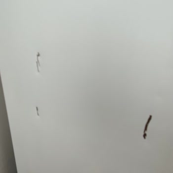 Öncel Evden Eve Nakliyat Eşyalarım Darbe Aldı