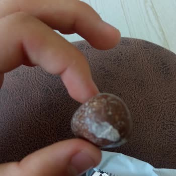 Patiswiss Çilek Kaplı Çikolatanın Üzerindeki Küfler