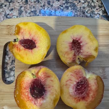 Migros Önce Stok Deyip Sonra Çürük Ürün Yollamışlar