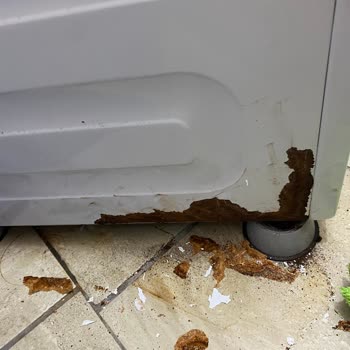 Arçelik Beyaz Eşyaların Paslanması Boya Dökülmesi