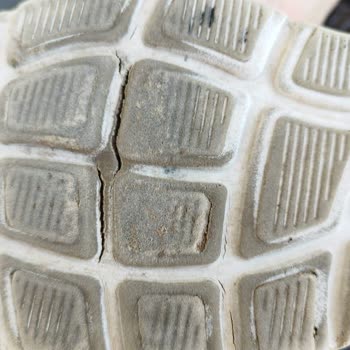 Skechers Ayakkabılarında Beklenmedik Sorunlar