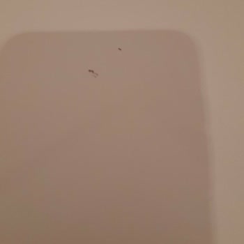 Arçelik Ürününün Arkasında Durmuyor