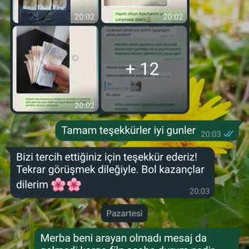 Alle Paketleme Evde Paketleme Evde İş İmkanı