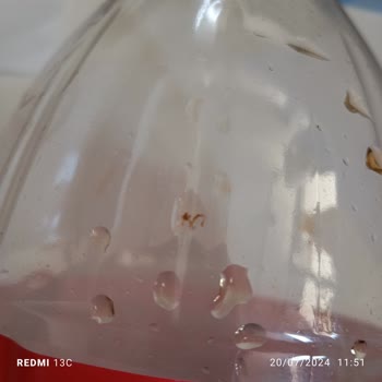 Coca-Cola Şişesinin İçinde Bir Şey Çıktı?